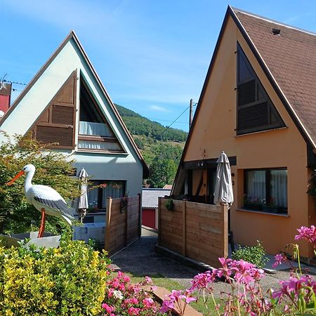 Gite Pinot Gris Et Gite Pinot Blanc Kaysersberg-Vignoble Bagian luar foto