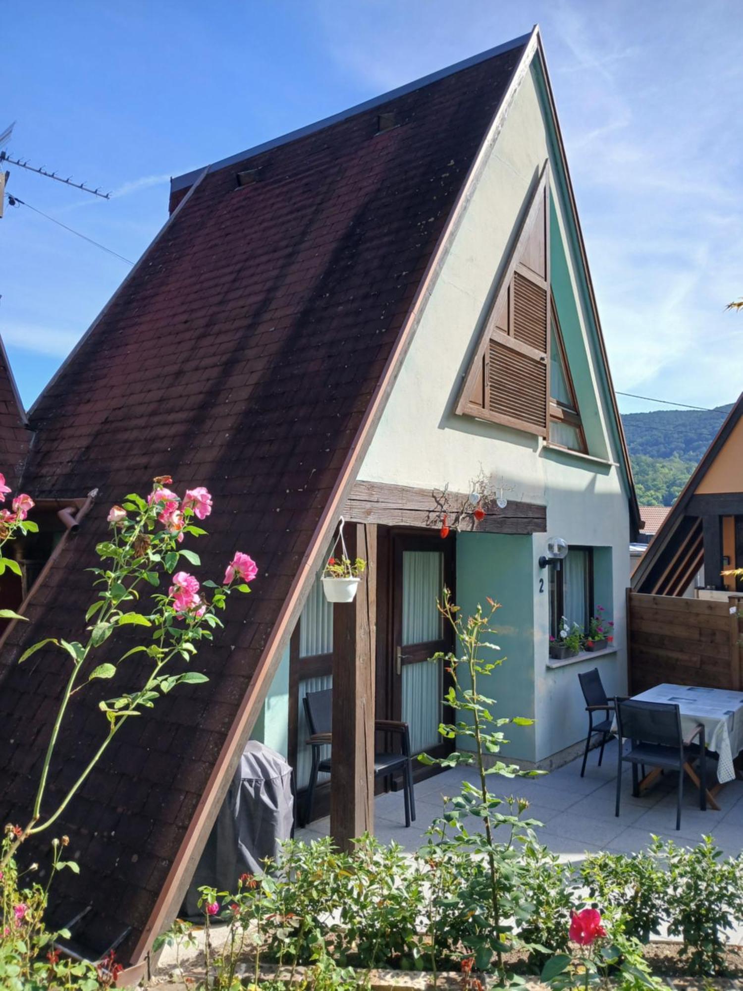 Gite Pinot Gris Et Gite Pinot Blanc Kaysersberg-Vignoble Bagian luar foto